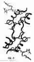 Fig. 06 - Crystallization of IGF-1