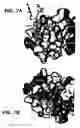 Fig. 08 - Crystallization of IGF-1