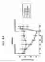 Fig. 05 - Pharmaceutical composition and method for inhibiting gastrointestinal inflammation