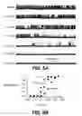 Fig. 09 - Methods for treating brain swelling with a compound that blocks a non-selective cation channel