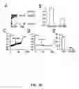 Fig. 46 - Methods for treating brain swelling with a compound that blocks a non-selective cation channel