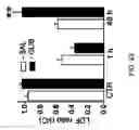 Fig. 50 - Methods for treating brain swelling with a compound that blocks a non-selective cation channel