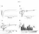Fig. 02 - Methods and compositions for treating flushing and drug induced weight gain