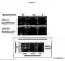 Fig. 60 - Methods and compositions for treating flushing and drug induced weight gain