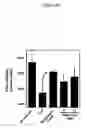 Fig. 68 - Methods and compositions for treating flushing and drug induced weight gain
