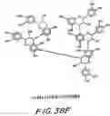 Fig. 145 - Treatment of inflammation
