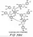 Fig. 150 - Treatment of inflammation