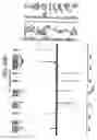 Fig. 191 - Treatment of inflammation