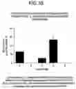 Fig. 228 - Treatment of inflammation