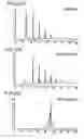 Fig. 94 - Treatment of inflammation
