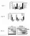 Fig. 04 - Mesoderm and definitive endoderm cell populations