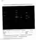 Fig. 04 - Staple type oligonucleotide and drug comprising the same