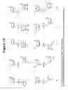 Fig. 13 - RNA interference mediated inhibition of B7-H1 gene expression using short interfering nucleic acid (siNA)