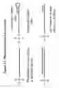 Fig. 15 - RNA interference mediated inhibition of B7-H1 gene expression using short interfering nucleic acid (siNA)