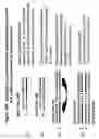 Fig. 18 - RNA interference mediated inhibition of B7-H1 gene expression using short interfering nucleic acid (siNA)