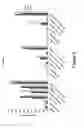 Fig. 08 - Survivin-directed RNA interference-compositions and methods