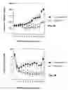Fig. 06 - Compositions and methods for treatment of prostate and other cancers