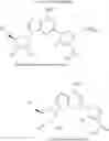 Fig. 11 - A1 adenosine receptor agonists