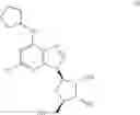 Fig. 13 - A1 adenosine receptor agonists