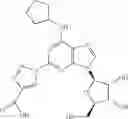 Fig. 19 - A1 adenosine receptor agonists