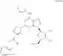 Fig. 20 - A1 adenosine receptor agonists