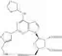 Fig. 22 - A1 adenosine receptor agonists