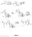 Fig. 02 - Fibroblast activation protein inhibitor compounds and methods