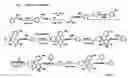 Fig. 02 - Process for producing optically active dihydropyridinephosphonic ester