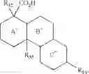 Fig. 94 - Treatment of inflammatory disorders
