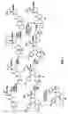 Fig. 05 - 21-substituted progesterone derivatives as new antiprogestational agents