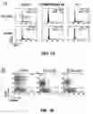 Fig. 02 - Methods of treating cell proliferative disorders
