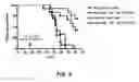 Fig. 06 - Methods of treating cell proliferative disorders