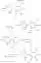 Fig. 471 - 1,2-di(cyclic) substituted benzene compounds