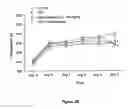 Fig. 05 - Pharmaceutical composition intended for the prevention or for the treatment of cerebral oedemas