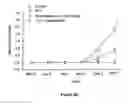 Fig. 07 - Pharmaceutical composition intended for the prevention or for the treatment of cerebral oedemas