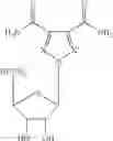 Fig. 130 - Use and administration of bacterial efflux pump inhibitors