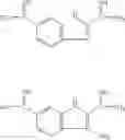 Fig. 193 - Use and administration of bacterial efflux pump inhibitors