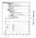Fig. 29 - Aerosolized fluoroquinolones and uses thereof