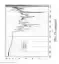 Fig. 33 - Aerosolized fluoroquinolones and uses thereof