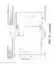 Fig. 41 - Aerosolized fluoroquinolones and uses thereof