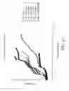 Fig. 54 - Aerosolized fluoroquinolones and uses thereof