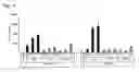 Fig. 05 - Lklf/klf2 gene expression promoter