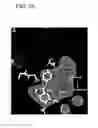 Fig. 06 - Therapeutic compounds