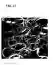Fig. 07 - Therapeutic compounds