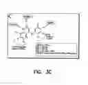Fig. 08 - Therapeutic compounds