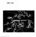 Fig. 09 - Therapeutic compounds