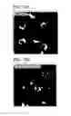 Fig. 17 - Therapeutic compounds