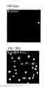 Fig. 19 - Therapeutic compounds
