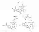 Fig. 05 - Novel multicyclic compounds and the use thereof