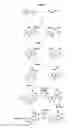 Fig. 06 - Novel multicyclic compounds and the use thereof